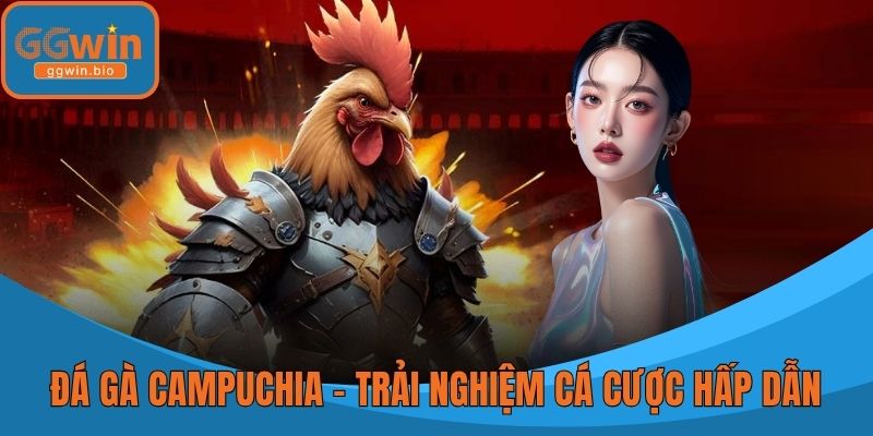 Đá Gà Campuchia – Trải Nghiệm Cá Cược Hấp Dẫn