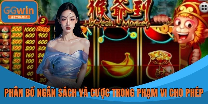 Phân bổ ngân sách và cược trong phạm vi cho phép