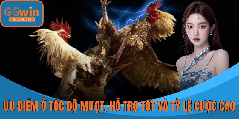 Ưu điểm nằm ở tốc độ mượt, hỗ trợ tốt và tỷ lệ cược cao